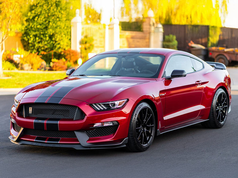 ford shelby gt350 2015-2020 Avery Dennison Headlight Protection Kits