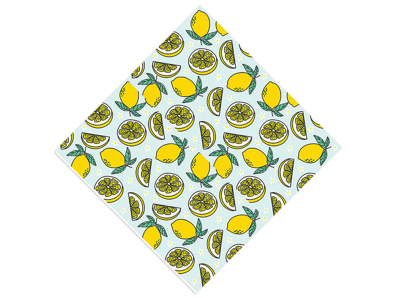 Four Seasons Fruit Vinyl Wrap Pattern