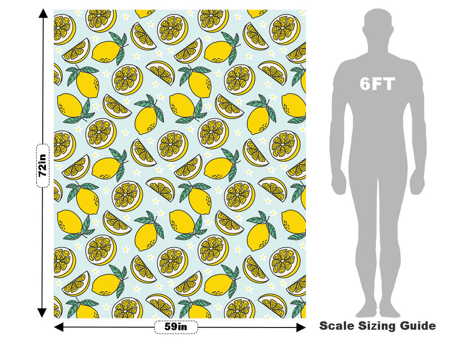 Four Seasons Fruit Vehicle Wrap Scale~Rwraps Series 914 Four Seasons Fruit Measurements~1