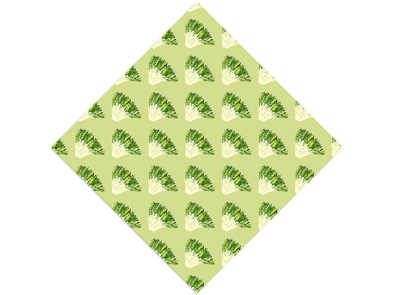 Frizzy Frisee Vegetable Vinyl Wrap Pattern