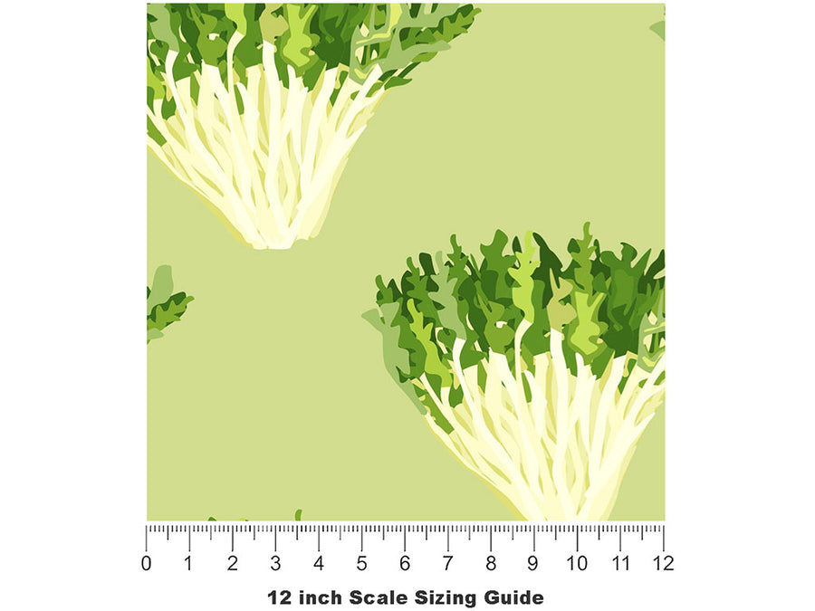 Frizzy Frisee Vegetable Vinyl Film Pattern Size 12 inch Scale~Rwraps Frizzy Frisee Vegetable Sizing Chart~2