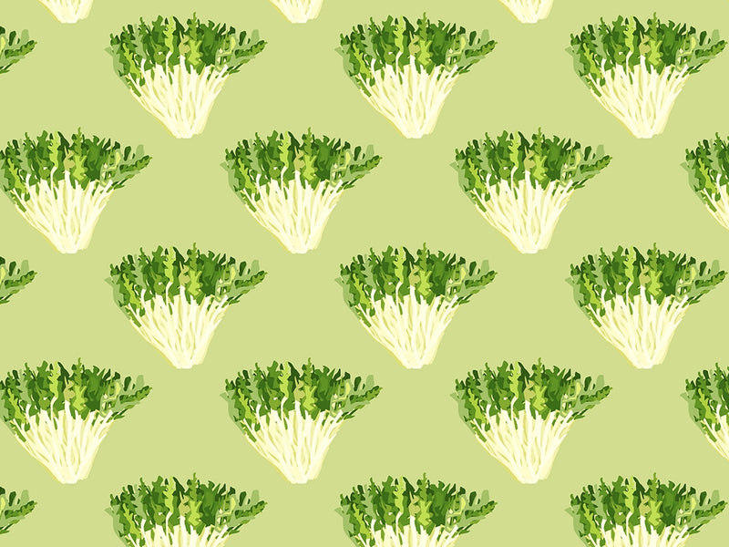 Frizzy Frisee Vegetable Vinyl Wrap Pattern~Rwraps Series 914 Digitally Printed Vinyl Wrap~0