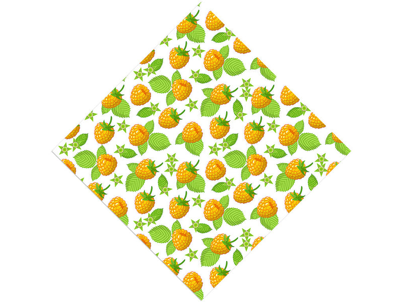 Golden Anne Fruit Vinyl Wrap Pattern