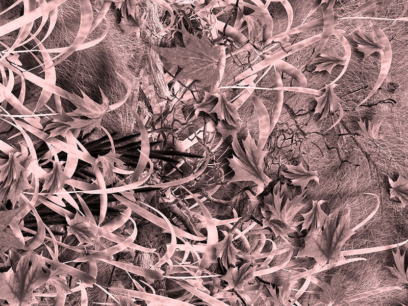 Grassland Pink Camouflage Vinyl Wrap Pattern~Rwraps Series 914 Digitally Printed Vinyl Wrap~0