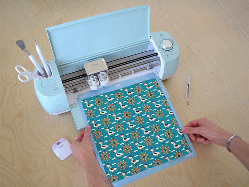 greedy gulls pirate Cricut Compatible Vinyl