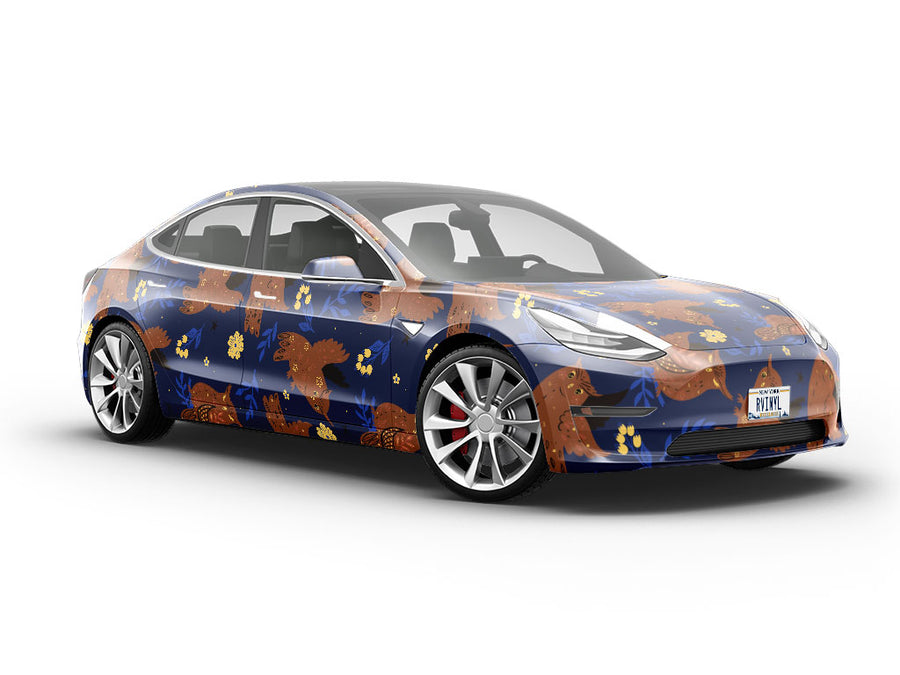 Hoot Holler Birds Vehicle Vinyl Wrap