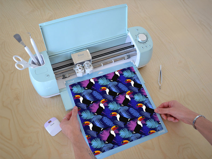 hornbill habitat bird Cricut Compatible Vinyl