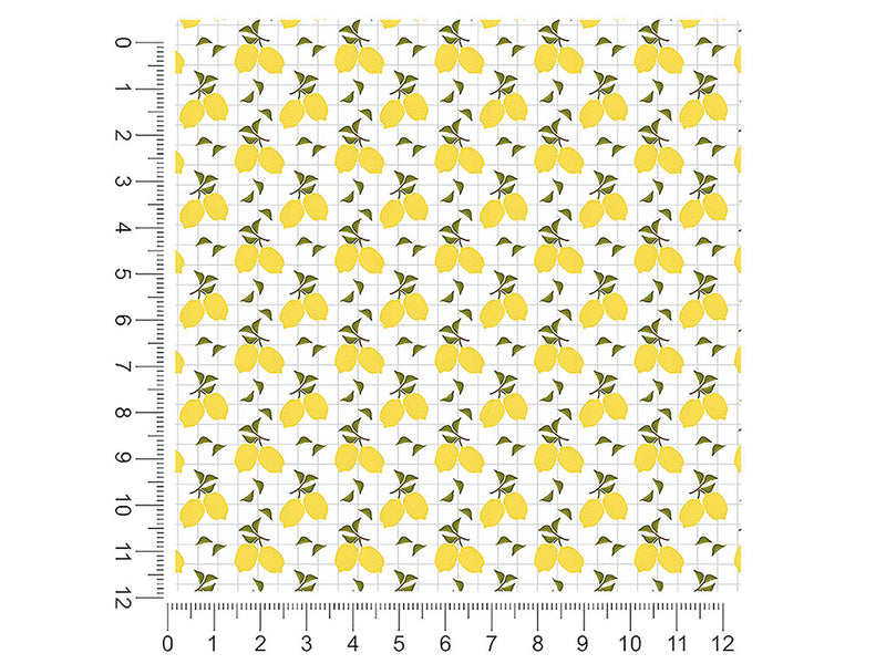 jaffa tang fruit 1ft x 1ft Craft Sheets