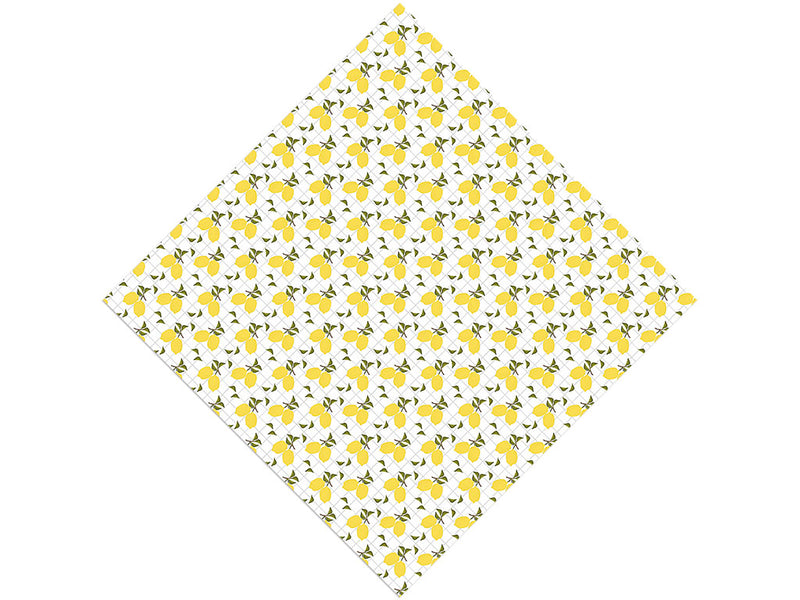 Jaffa Tang Fruit Vinyl Wrap Pattern