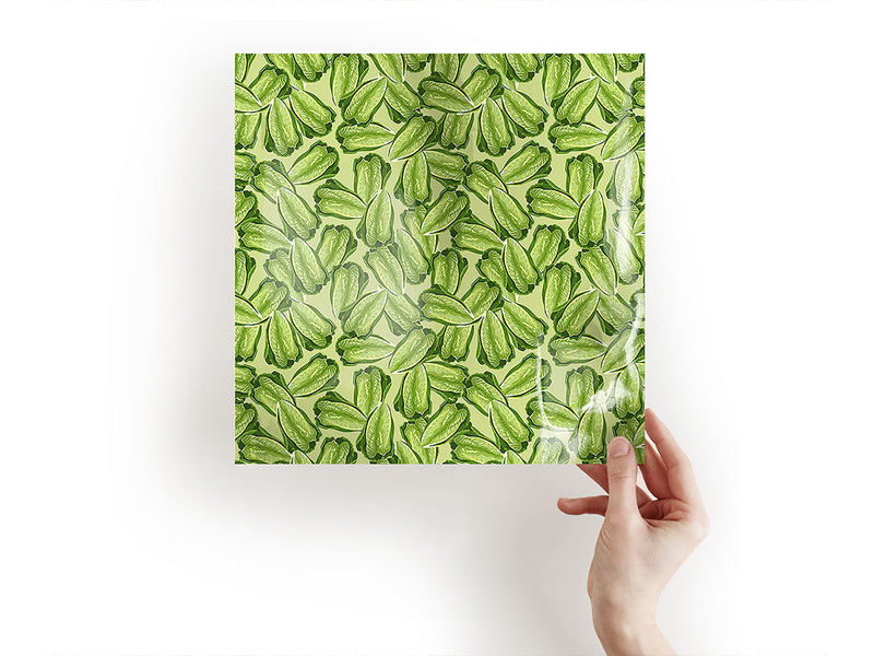 little caesar romaine vegetable Craft Sheets