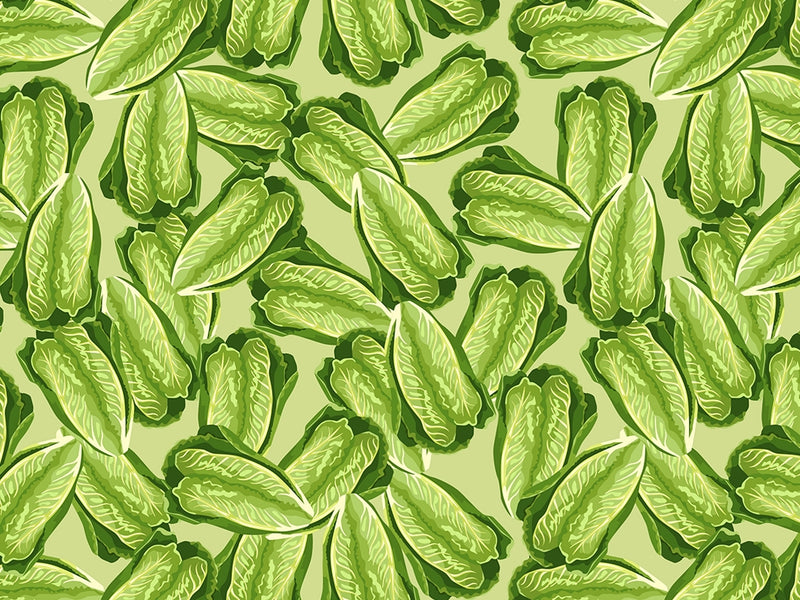 Little Caesar Romaine Vegetable Vinyl Wrap Pattern~Rwraps Series 914 Digitally Printed Vinyl Wrap~0
