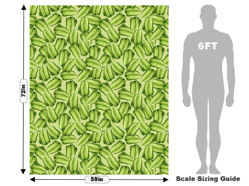 Little Caesar Romaine Vegetable Vehicle Wrap Scale~Rwraps Series 914 Little Caesar Romaine Vegetable Measurements~1