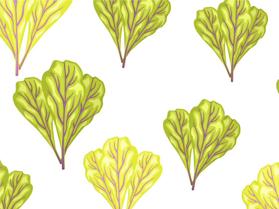 Manly Mangold Vegetable Vinyl Wrap Pattern~Rwraps Series 914 Digitally Printed Vinyl Wrap~0