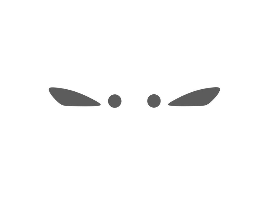 Rshield™ Mercedes-Benz S-Class 2007-2009 Fog Light Protection Kit