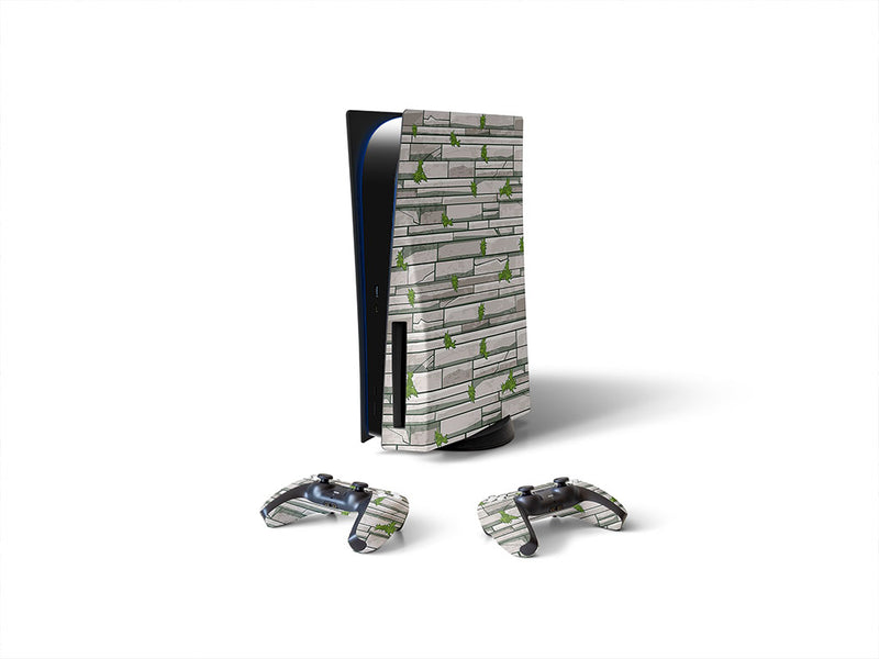 Sony PS5 DIY Skin
