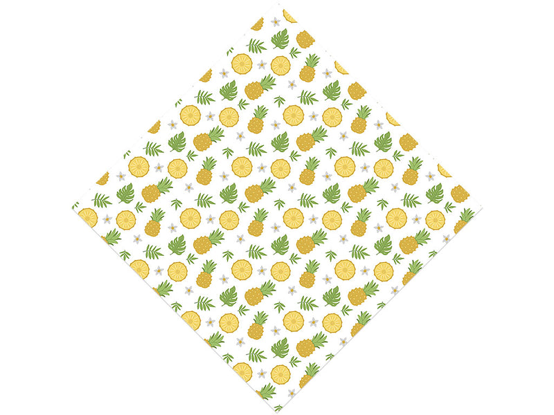 Multi-Fruit Fruit Vinyl Wrap Pattern