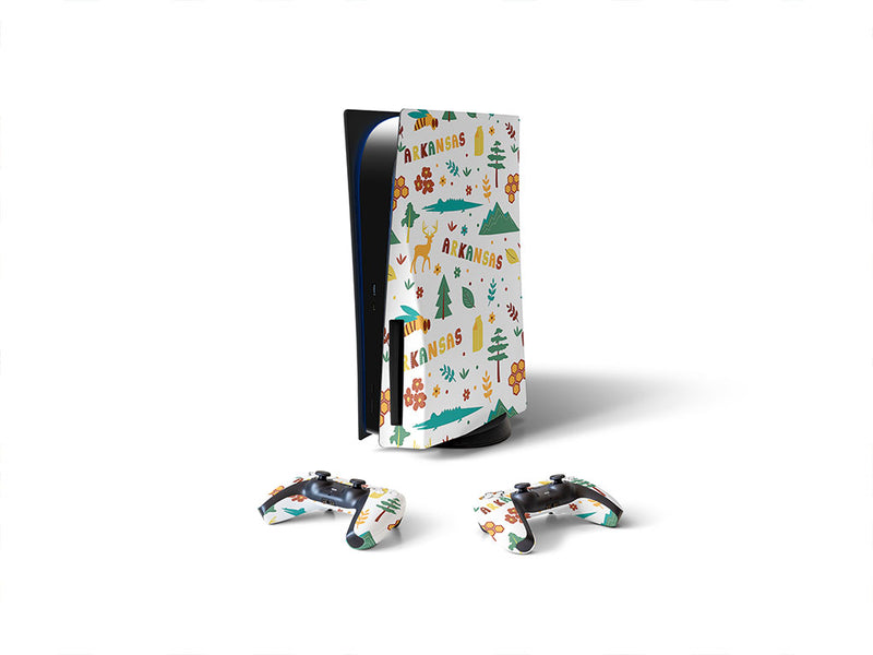 natural state Sony PS5 DIY Skin
