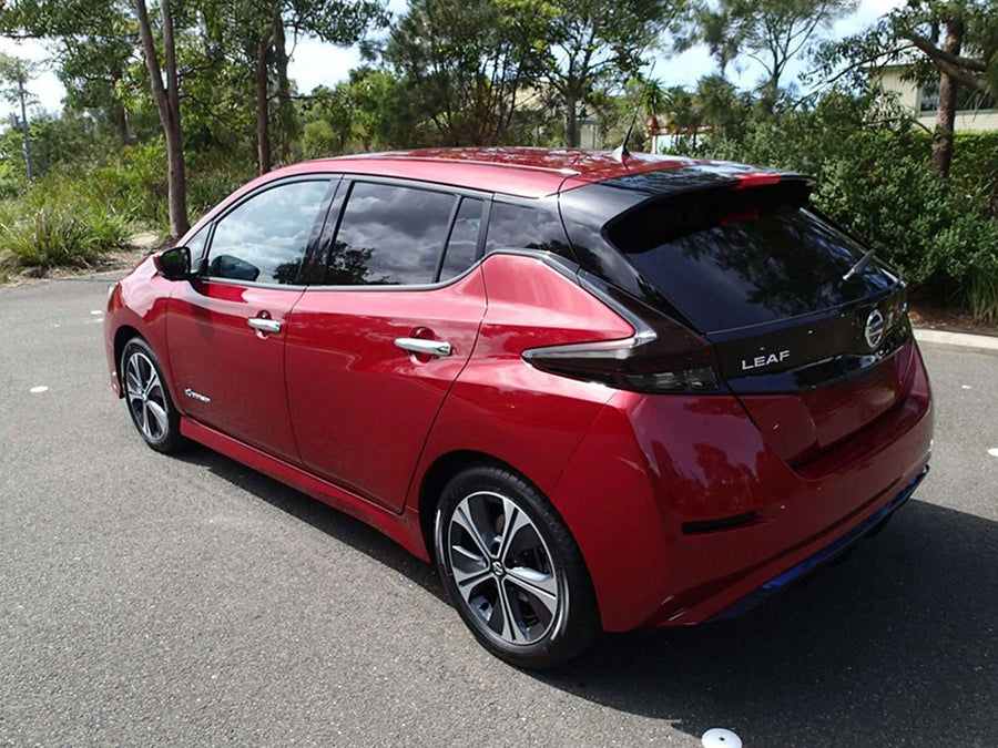 leaf Blackout Tail Light TInt~1~0