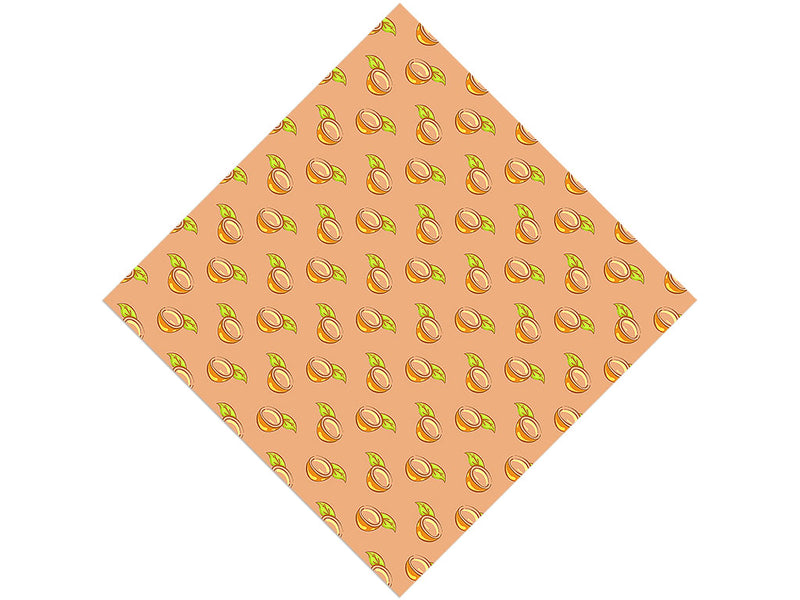 Oasis Salvation Fruit Vinyl Wrap Pattern