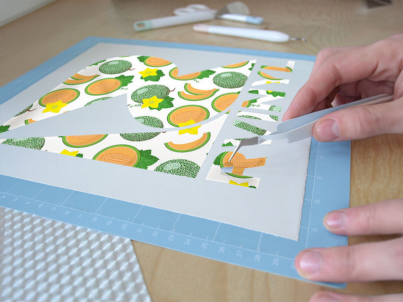 olympic express fruit Easy Weed Craft Vinyl