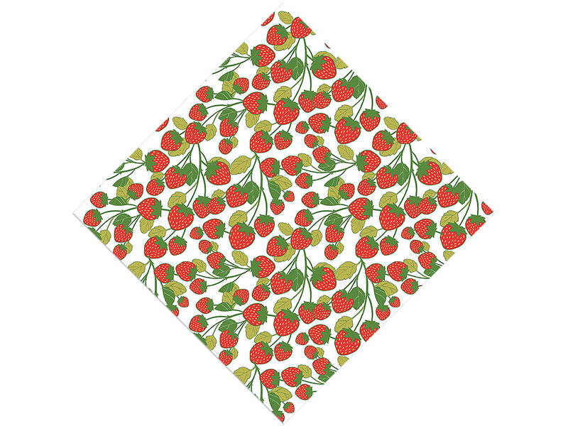 On the Bush Fruit Vinyl Wrap Pattern