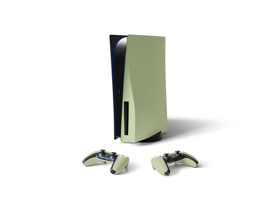 ORACAL 631 Celedon Sony PS5 DIY Skin
