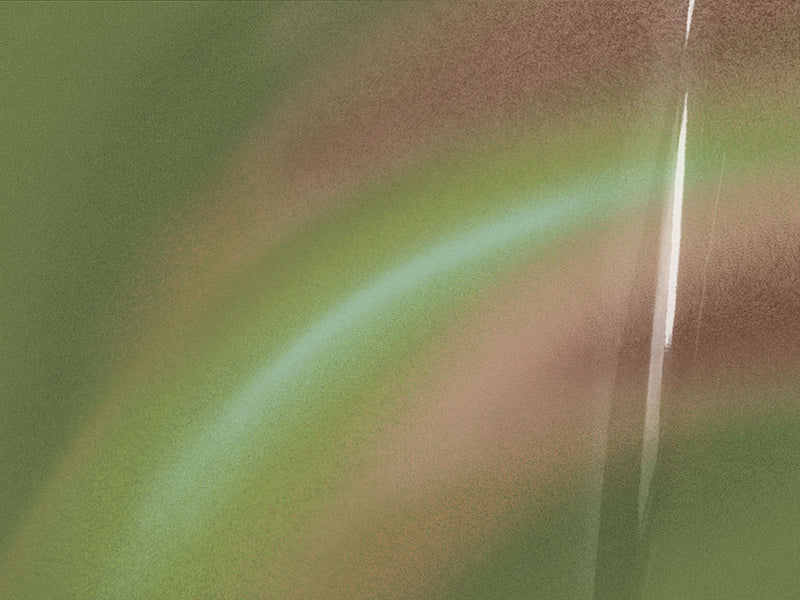 ORACAL 970RA Gloss Avocado Premium Wrapping Cast Film