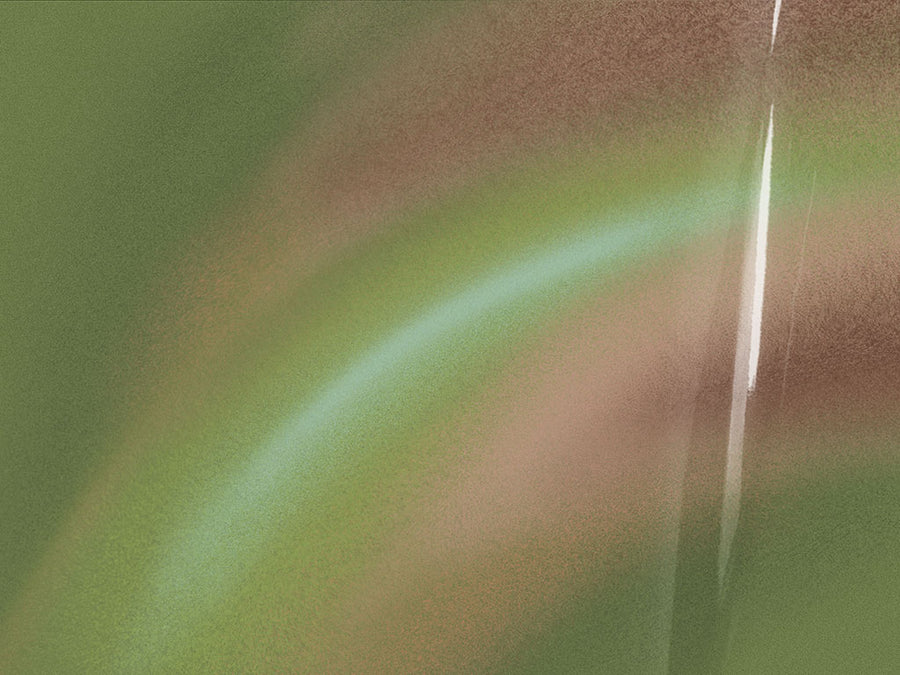 ORACAL 970RA Gloss Avocado Premium Wrapping Cast Film