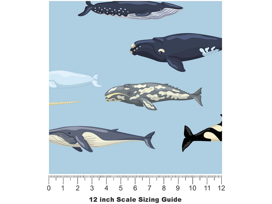 Parading Along Marine Life Vinyl Film Pattern Size 12 inch Scale~Rwraps Parading Along Marine Life Sizing Chart~2
