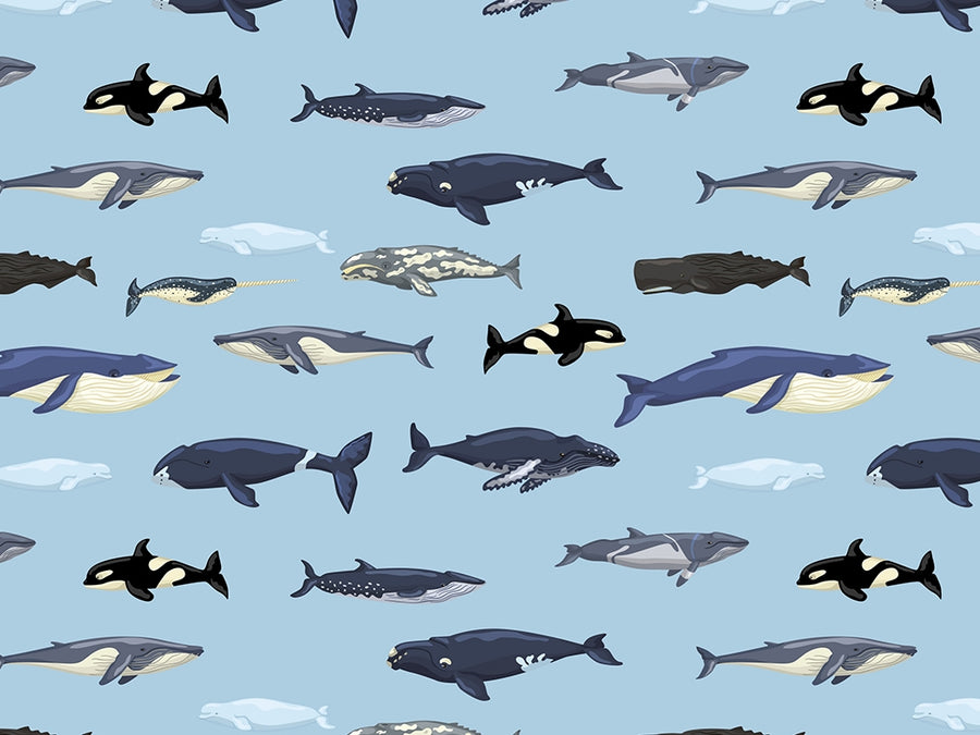 Parading Along Marine Life Vinyl Wrap Pattern~Rwraps Series 914 Digitally Printed Vinyl Wrap~0