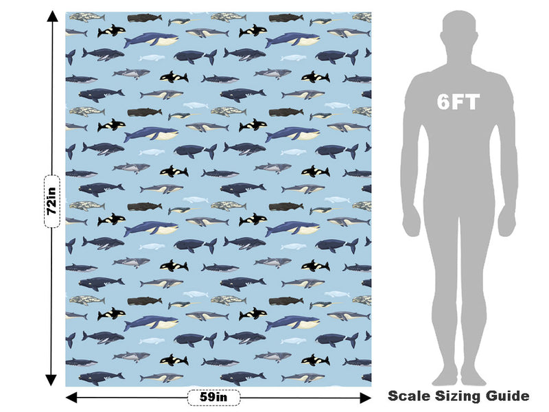 Parading Along Marine Life Vehicle Wrap Scale~Rwraps Series 914 Parading Along Marine Life Measurements~1