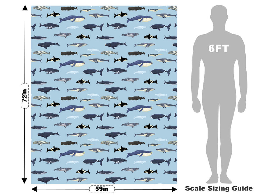 Parading Along Marine Life Vehicle Wrap Scale~Rwraps Series 914 Parading Along Marine Life Measurements~1