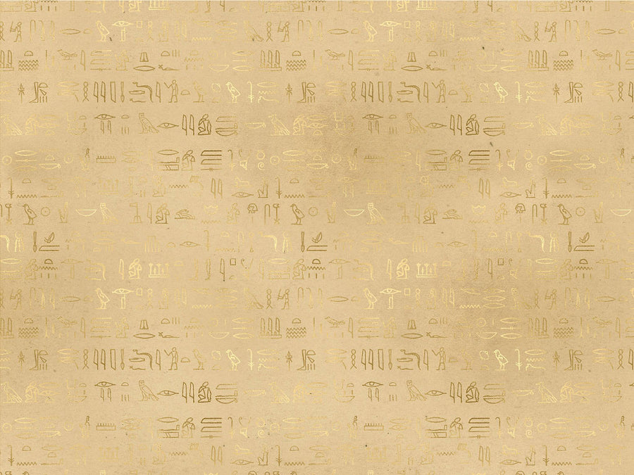 Parchment Hieroglyphs Egyptian Vinyl Wrap Pattern~Rwraps Series 914 Digitally Printed Vinyl Wrap~0