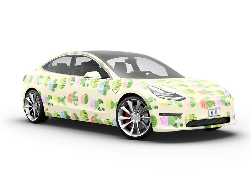 Pastel Needles Cacti Vehicle Vinyl Wrap