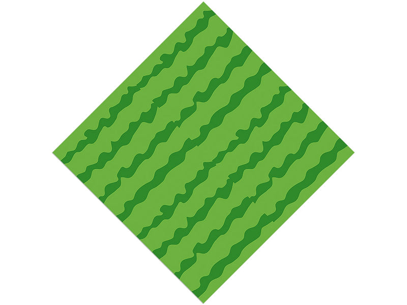 Picnic Rind Fruit Vinyl Wrap Pattern