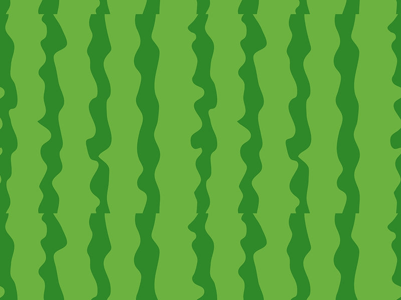 Picnic Rind Fruit Vinyl Wrap Pattern~Rwraps Series 914 Digitally Printed Vinyl Wrap~0