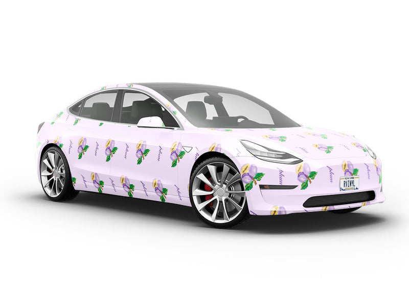 Pluxel Fruit Vehicle Vinyl Wrap