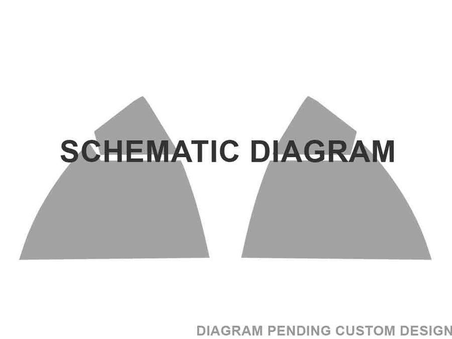 Rtint™ Pontiac Custom Tail Light Tint