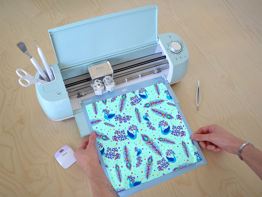 rainbow kings bird Cricut Compatible Vinyl