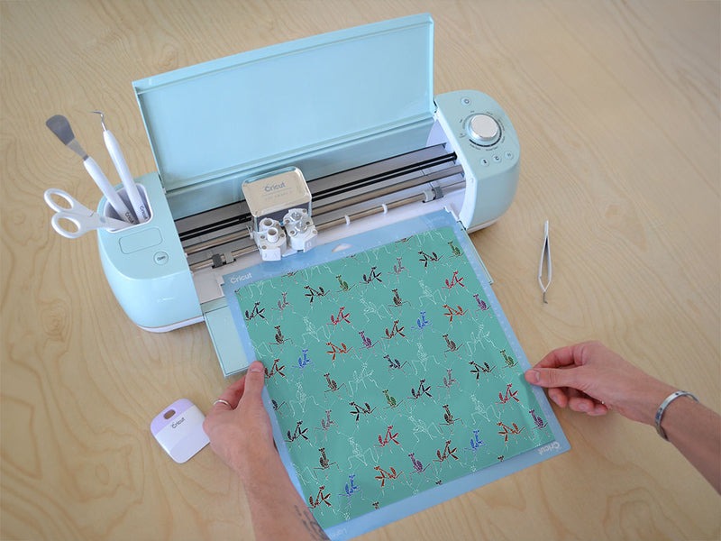 rainbow senses bug Cricut Compatible Vinyl