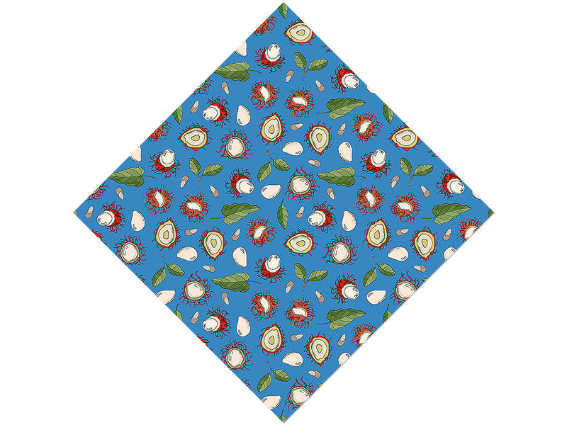 Rapiah Appreciation Fruit Vinyl Wrap Pattern