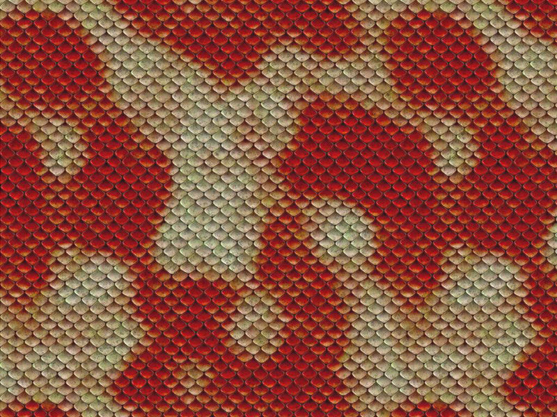 Red Snake Vinyl Wrap Pattern~Rwraps Series 914 Digitally Printed Vinyl Wrap~0
