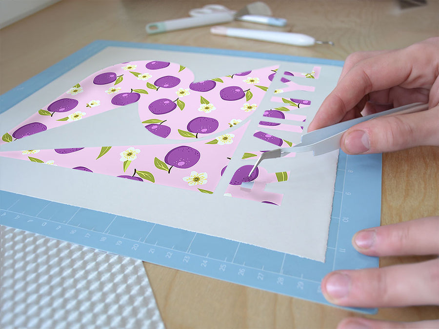 reine claude violette fruit Easy Weed Craft Vinyl