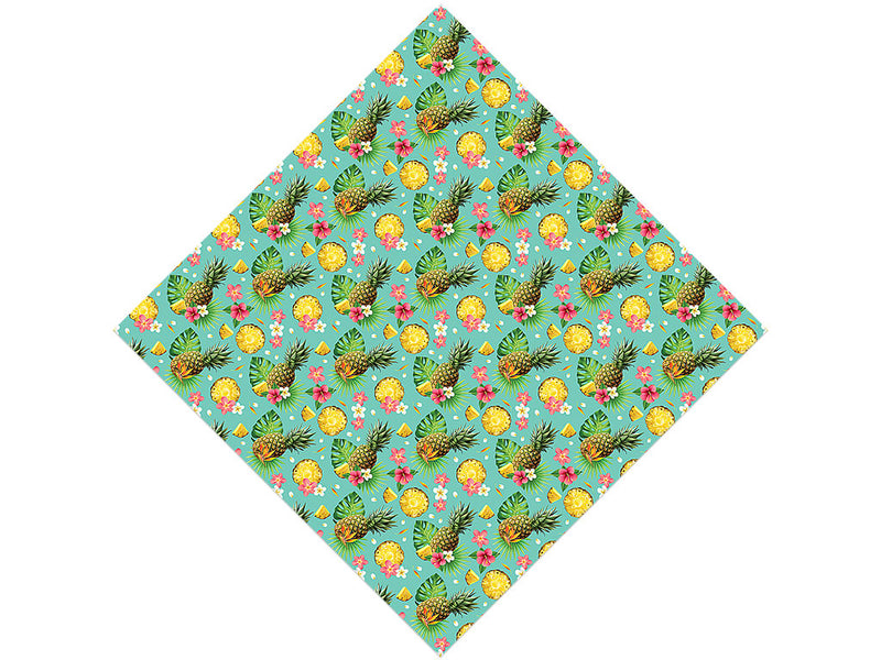 Relaxing Rondon Fruit Vinyl Wrap Pattern