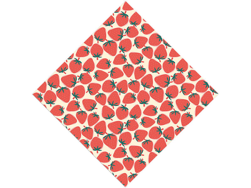 Rosa Linda Fruit Vinyl Wrap Pattern