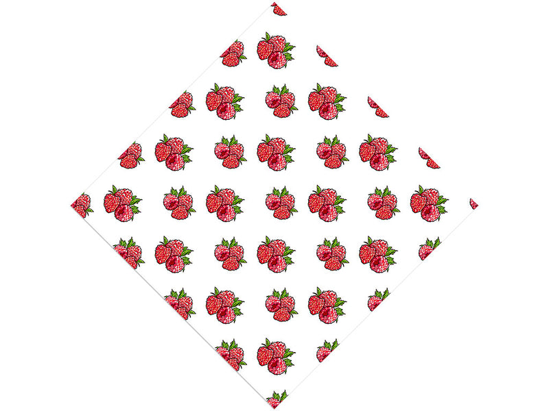 Ruby Beauty Fruit Vinyl Wrap Pattern