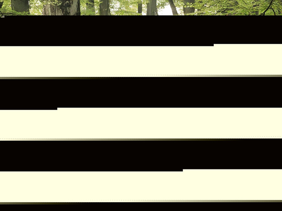 saturn vue 2008-2009 Headlight Tint