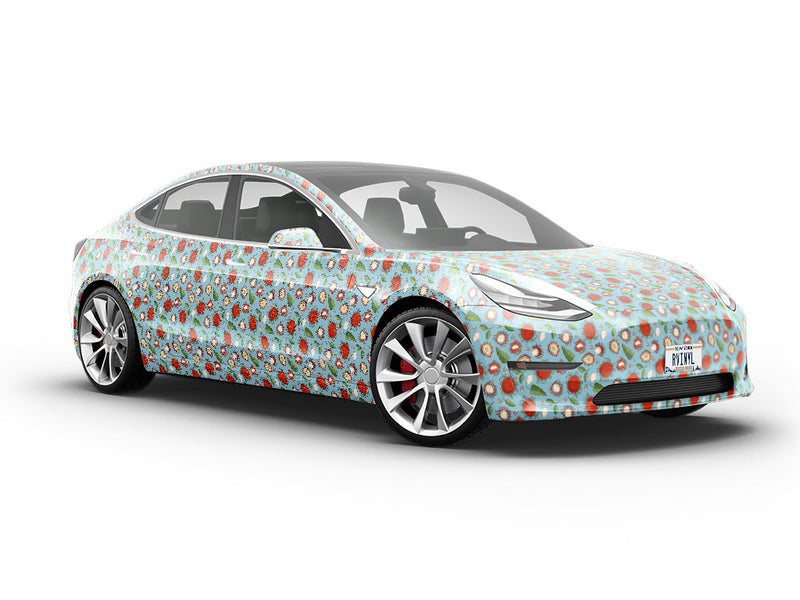 Schoolboy Variety Fruit Vehicle Vinyl Wrap