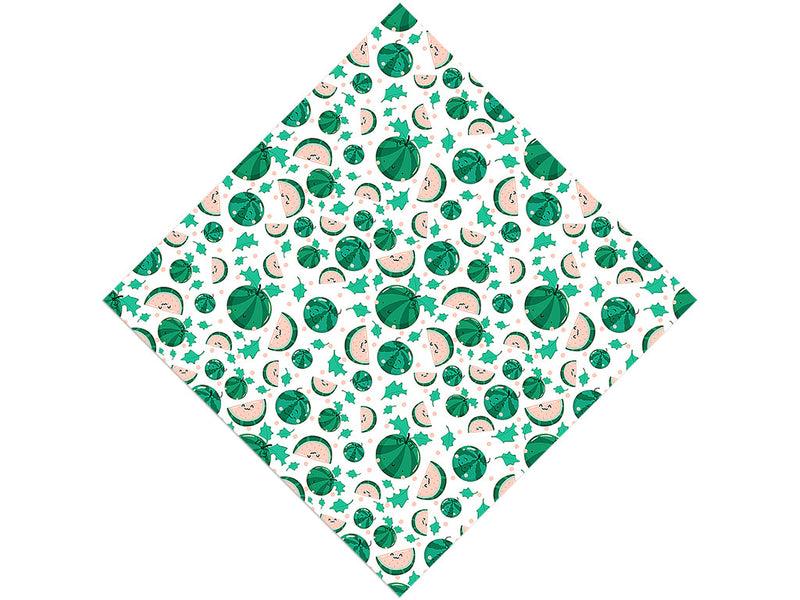 Seedless Smiles Fruit Vinyl Wrap Pattern