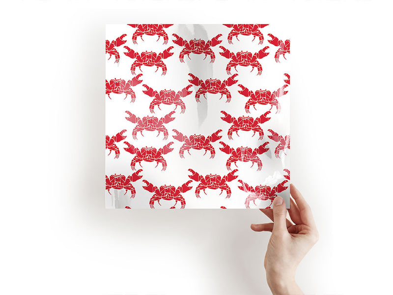 shattered shell salt water Craft Sheets